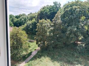 Loket "LIKE at HOME" park, Castle, amphitheater, Karlovy Vary
