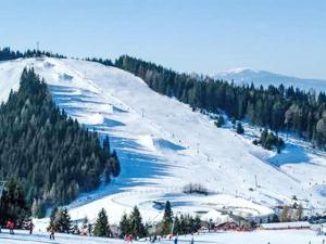 Apartment Simonhöhe-1 by Interhome