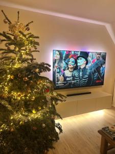 Tommorowland 2026 - rooftop Apartment With festival view - 600m walk