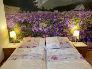 Domek pod Maciejową