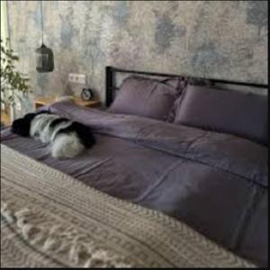 Parking busparking-WiFi