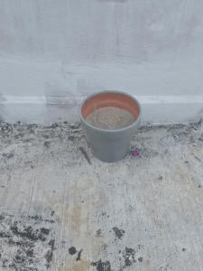 Modern apartment with parking on the ground floor