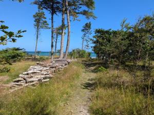 Holiday Home Farman - 200m from the sea by Interhome