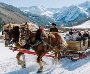 Center of Aspen Studio with AC Sundeck & Hot-Tub