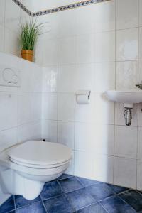 Apartment Westergeest-1 by Interhome