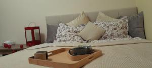 LIKE at HOME park, Castle, amphitheater, Karlovy Vary