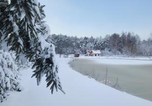 Kemping i Domki nad stawem