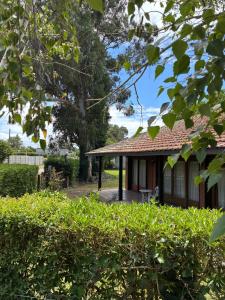 Fuegos del Sur, Acantilados