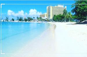 Cozy 4 of 5 Apartment in the Heart of Ocho Rios