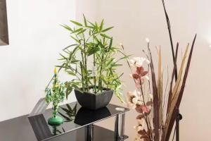 Cosy London Apartment near River Thames