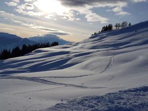 Chalet Bambi, spacieux, jardin, cheminée, kids & pets friendly