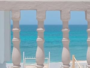 Sunrise Oasis واحة الشروق للضيافة