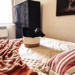 IRIS, vue imprenable