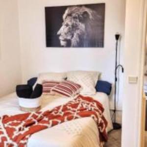 IRIS, vue imprenable