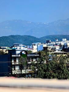 Doon Alpine Studio in Sahastradhara Dehradun
