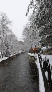 Cabana De La Rau Satic