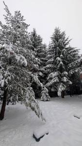 Cabana De La Rau Satic