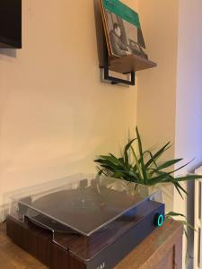 Panorama 7-Apartment ultracentral view memorabil