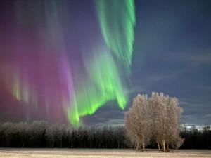 Ren Dez Vous Guesthouse