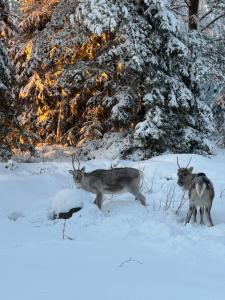 Ren Dez Vous Guesthouse