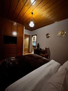 MetsoVillas Traditional Suite B - Στην Καρδιά του Μετσόβου