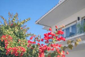 Gold Coast Photography Inn