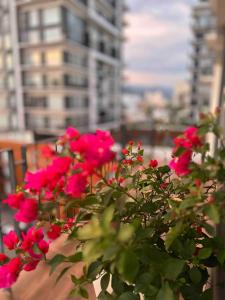 Stunning 1 bdrm1 bath amazing views