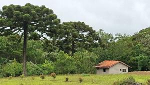 Ecolodge Muriqui - conforto e privacidade na sinfonia da Natureza