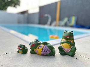 Apartamento Encantador em Boa Vista