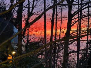 Glamping Martini Kvariati