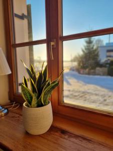 1869 Neue gemütliche Ferienwohnungen auf historischem Allgäu-Hof naturnah gelegen