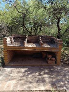 Bosquecito de Carpin