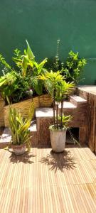 Bonita Ilha Frente Mar Guarujá