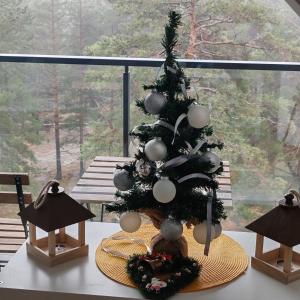 Divčibarska čarolija