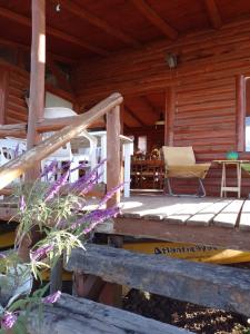 Cabaña UMI - Un Mundo Infinito