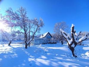 Honey hill apartment Fruska Gora