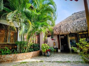 El Leon Feliz Palomino