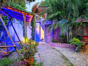 El Leon Feliz Palomino