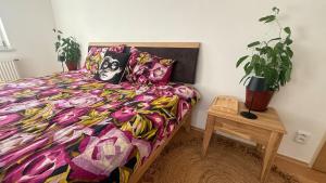 Harrison Homes Oasis, Pergola and Garden