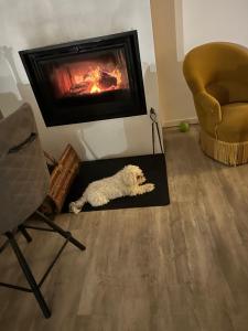 Chambre à louer dans maison à la campagne de Virazeil