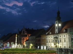Rooms in Maribor Centre