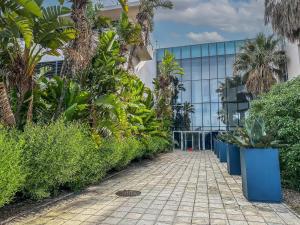 Lagoon Shoreline 2 Bedroom Apartment