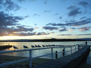 Culburra Beach Motel