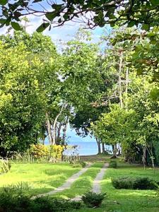 Beachfront Cabin with AC, Starlink, hot water, Nature Paradise