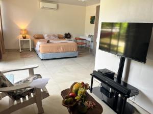 Beachfront Cabin with AC, Starlink, hot water, Nature Paradise