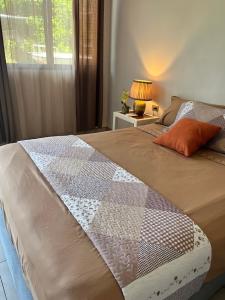 Beachfront Cabin with AC, Starlink, hot water, Nature Paradise