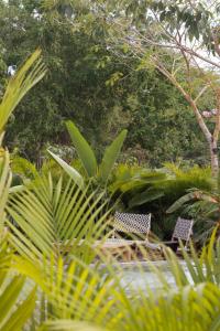 Chamela Boutique Apartments