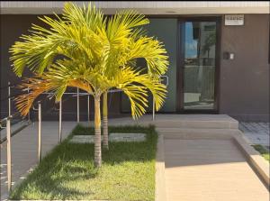 Flats marina de Cupe 304