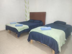 Jardines del Mar by La Cultura Suites - Boutique Studios Playa del Carmen