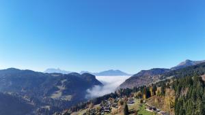 Chalet meleze - Les Gets - La Massouderie